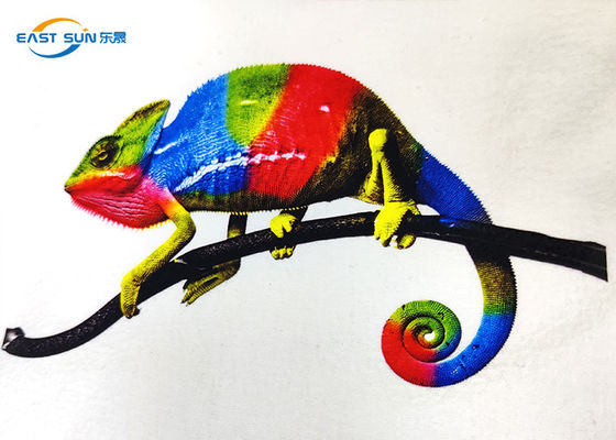 良い価格 600mmのDTFのインクジェット印刷のための印刷できる熱伝達A3ペット フィルム オンライン